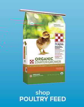 Shop Poultry Feed